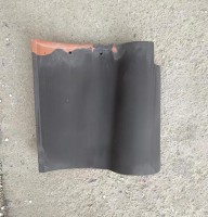 310x310 Spanish S watts